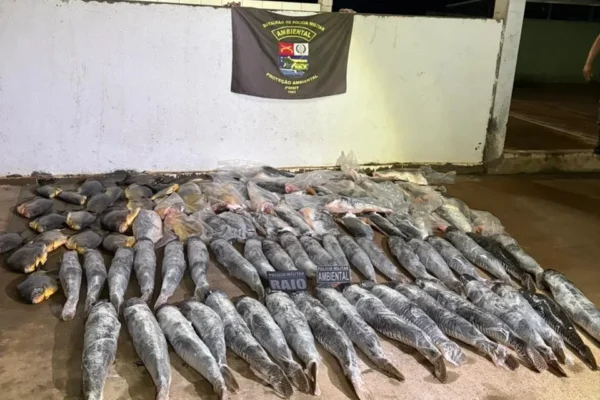 Bloqueio policial em Cuiabá apreende 340 kg de peixe ilegal escondidos em veículo