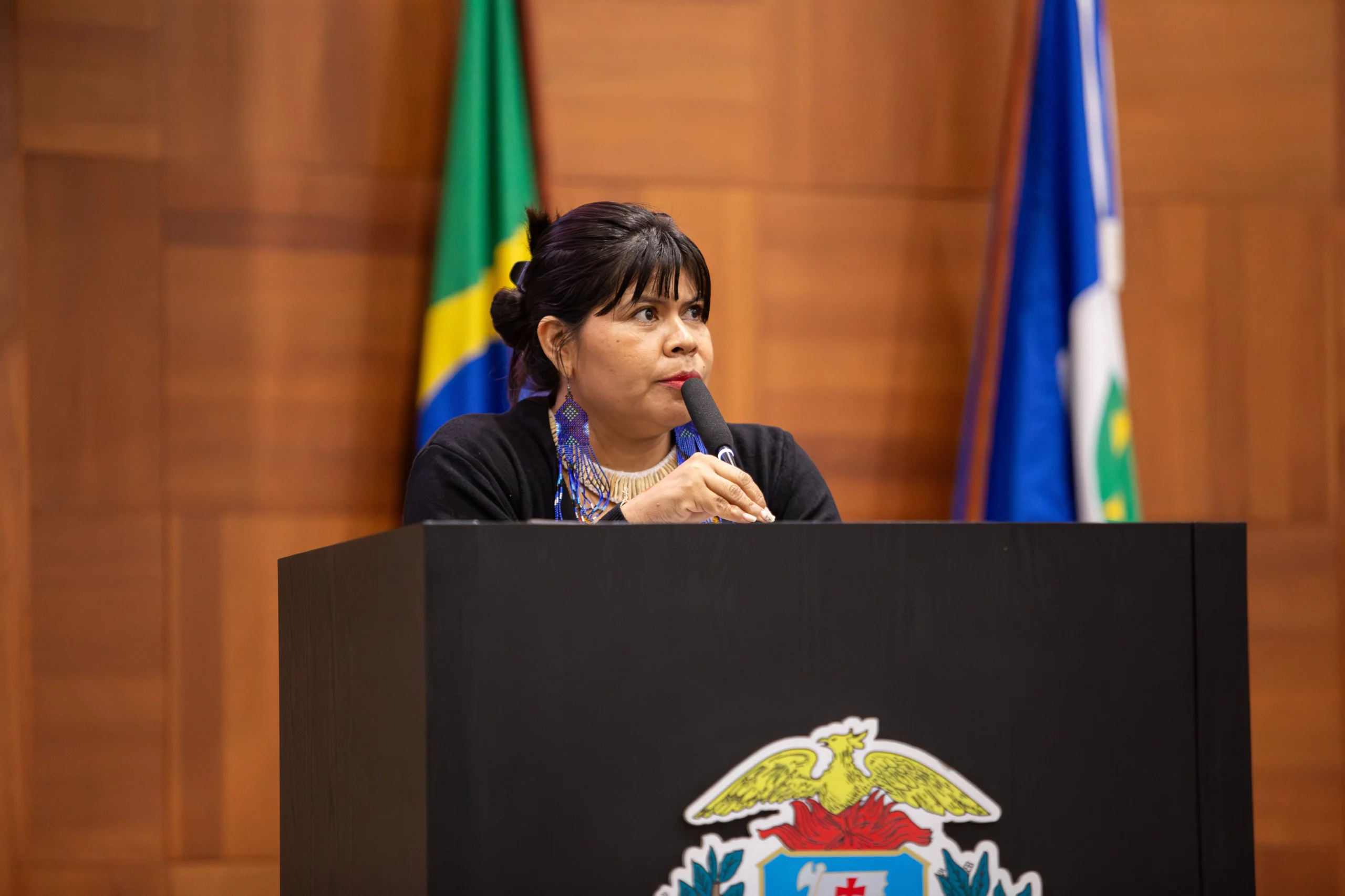 Indígenas defendem papel no desenvolvimento de MT